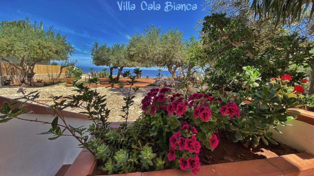 Villa Cala Bianca Castellammare del Golfo Eksteriør billede